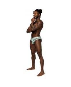 Male Power Sheer Prints Sheer Thong Flamingo L/xl