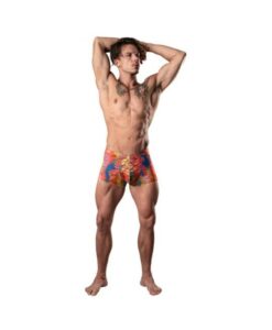 Male Power Your Lace Or Mine Pouch Short Multicolor M