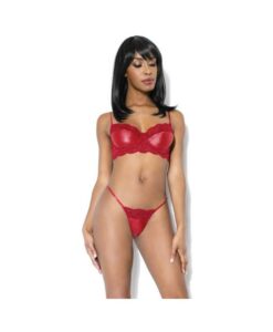Lace And Matte Wetlook Bra And G-string Merlot L/xl Hanging