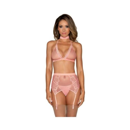 Dg Bra Garterbelt & G-string Pink Os - Image 2