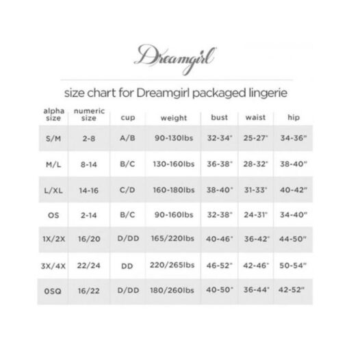 Silver Metallic Fishnet Catsuit Bodystocking O/s - Image 3