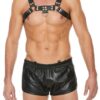 Chest Bulldog Harness - Black/black - L/xl