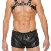 Chest Bulldog Harness - Black/black - S/m