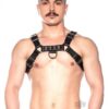 Prowler Red Bull Harness Black Md