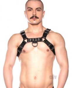 Prowler Red Bull Harness Black Md