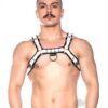 Prowler Red Bull Harness Blk/wht Sm