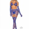 Rhinestone Garter/bikini 5pc Os Blue