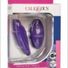 Lock-n-play Remote Pulsating Panty Teaser