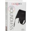 Boundless Thong W/garter 2l/3xl