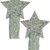 Pastease Silver Glitter Tassle Stars OS
