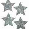 Petites Silver Glitter Star O/S 2 Pack Pasties