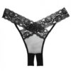 Adore Sheer, Lace Desire Panty Black O/S