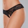 Adore Foreplay Lace & Mesh Front Open Panty Black O/s