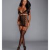 Fishnet & Lace 2 Pc Garter Dress Black O/s