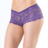 Low Rise Stretch Scallop Lace Booty Shorts Purple OS/XL