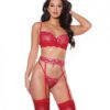 Holiday Metallic Stretch Lace Underwire Bra, Garter Belt & G-string Red/silver Sm