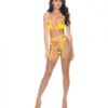 Neon Explosion Embroidered Lace Underwire Bra, Garterbelt, Hose & G-string Neon-x Lg