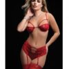 Strappy Underwire Bra, High Waist Boyshort & Stockings Red O/s