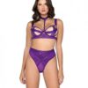 Bondage Stripe Demi Cup Underwire Bra & Panty Purple Sm