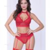 Lace & Netting Long Line Bra, Garter Belt & Open Crotch Thong Red Lg