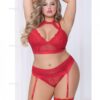 Lace & Netting Long Line Bra, Garter Belt & Open Crotch Thong Red 3x/4x