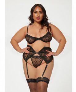 Valentines Heart Embroidered Mesh Bra, Waspie & Panty Black 1x/2x
