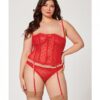 Valentines Heart Embroidered Mesh Bustier & Panty Red 3x/4x