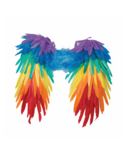 Rainbow Feather Wings