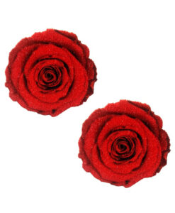 Neva Nude Pasties Enchanted Red Rose Glitter Velvet