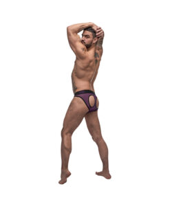 Male Power Airotic Mesh Butt Out Bikini Ppl Medium