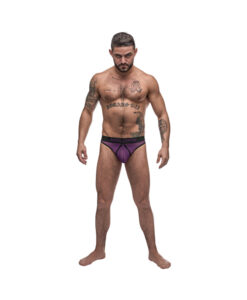 Male Power Airotic Mesh Enhancer Thong Purple Sm