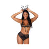 3 Pc Bedroom Bunny, Includes Eyelash Lace Cage Strap Bra Top, Cheeky Backless Panty With Fluffy Tail