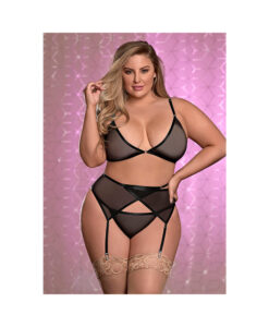 Ms Sheer Mesh Bra Garter & Panty Blk 1 Size Queen