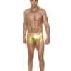 Gold Lame Boxer Brief L/xl