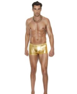 Gold Lame Boxer Brief L/xl