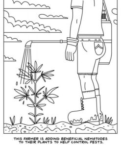Alternative view of A Visit To The Cannabis Farm Coloring Book (net)